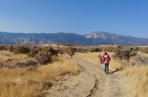 Washoe Lake State Park